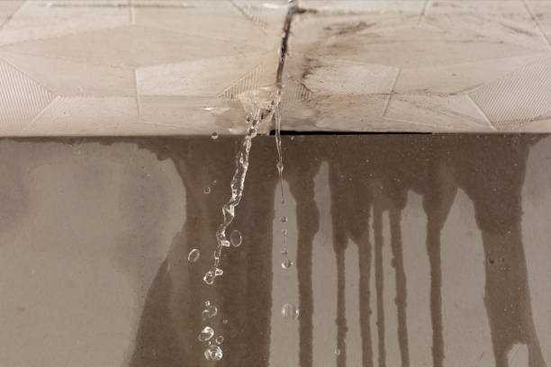 Professional Structural Drying technician working in Saginaw, MI